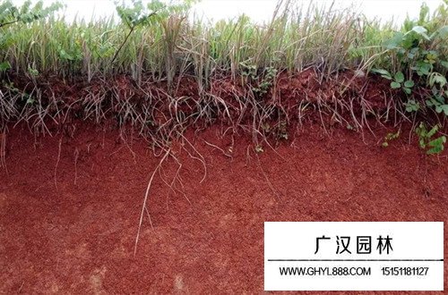 怎么測土壤酸堿度，如何改變土壤的酸堿性(圖)