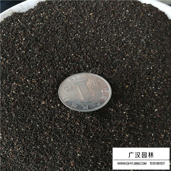 金魚草種子
