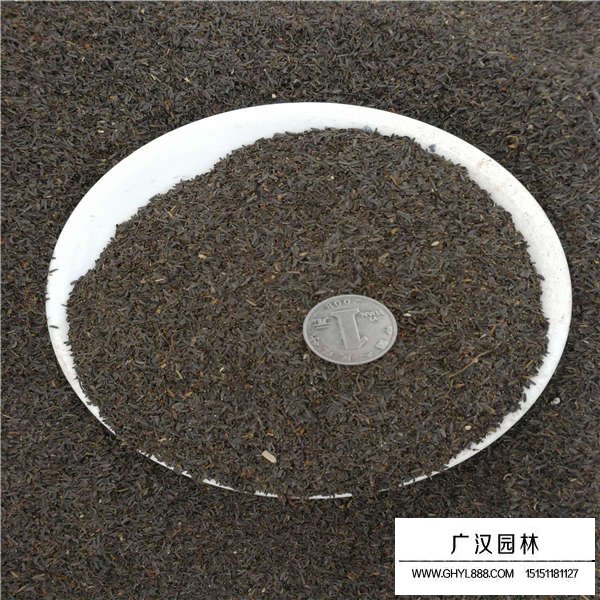 蛇目菊種子