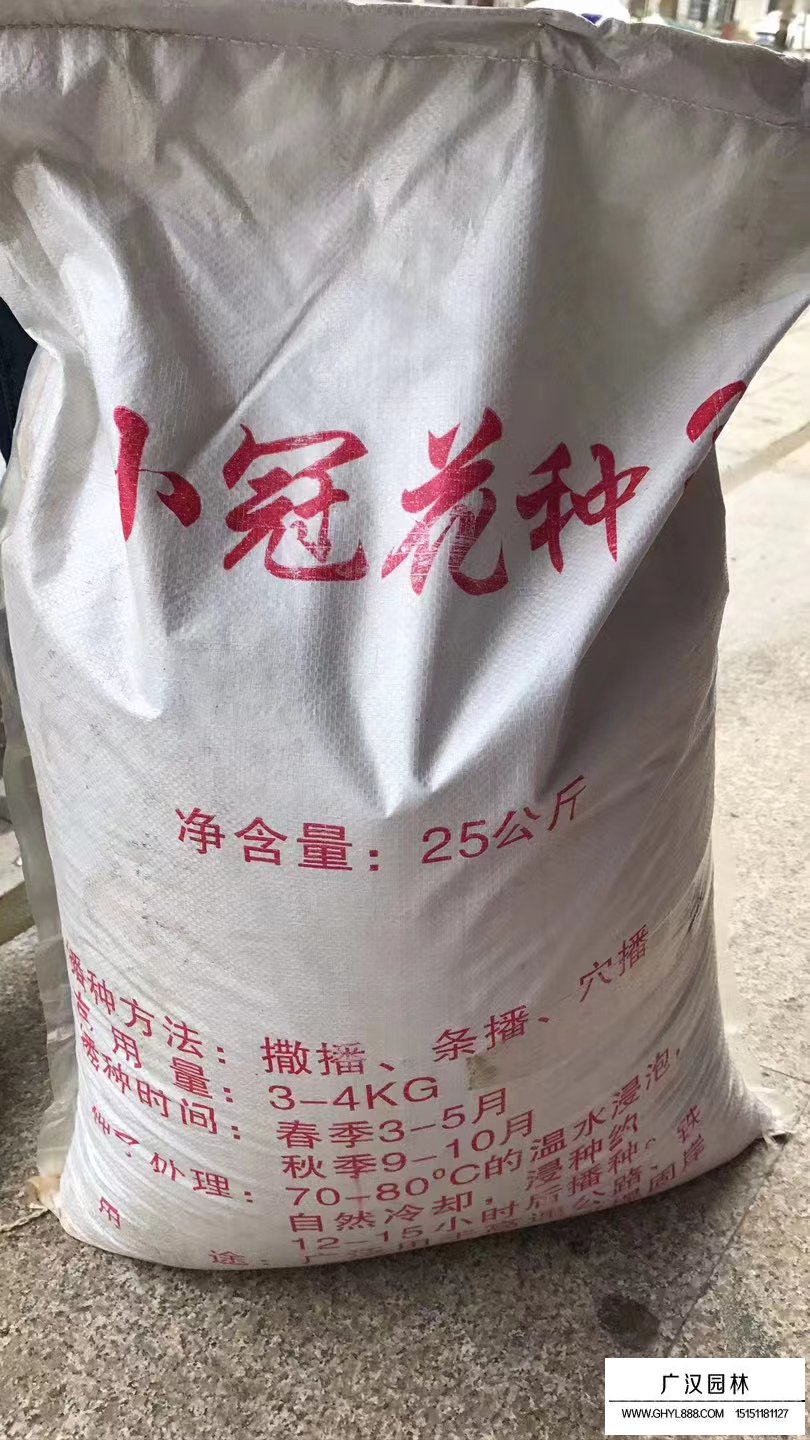 小冠花種子