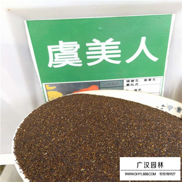 虞美人種子