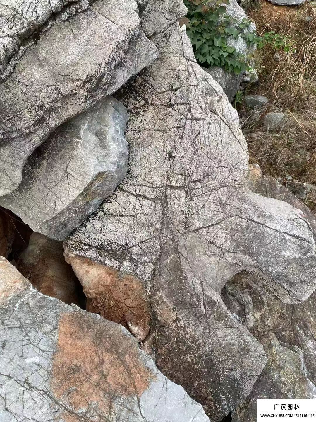 龜紋石 (9).jpg