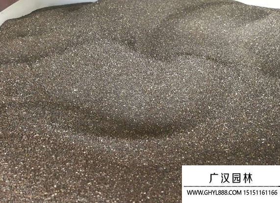 金魚草種子