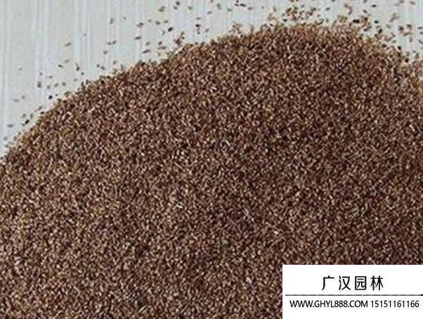 細莖針茅種子