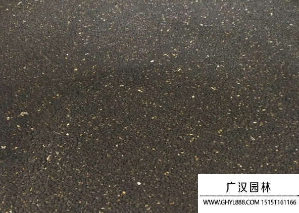 黑種草種子