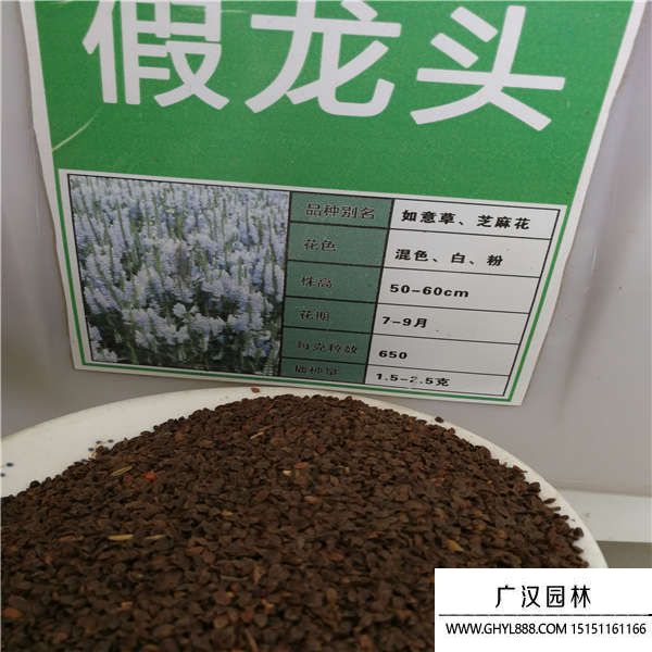 假龍頭種子