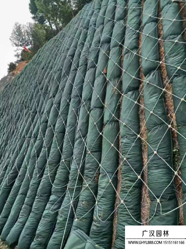 礦山修復與治理施工