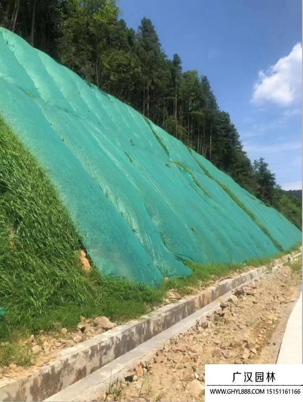 礦山修復與治理施工