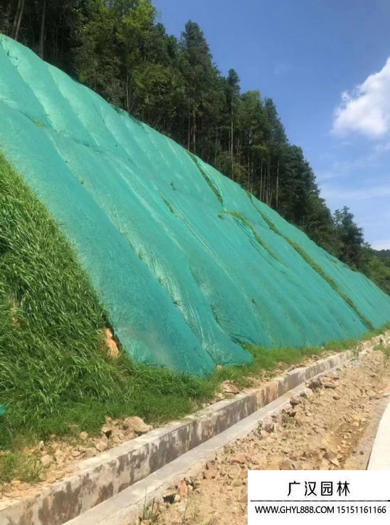 礦山河道護坡綠化