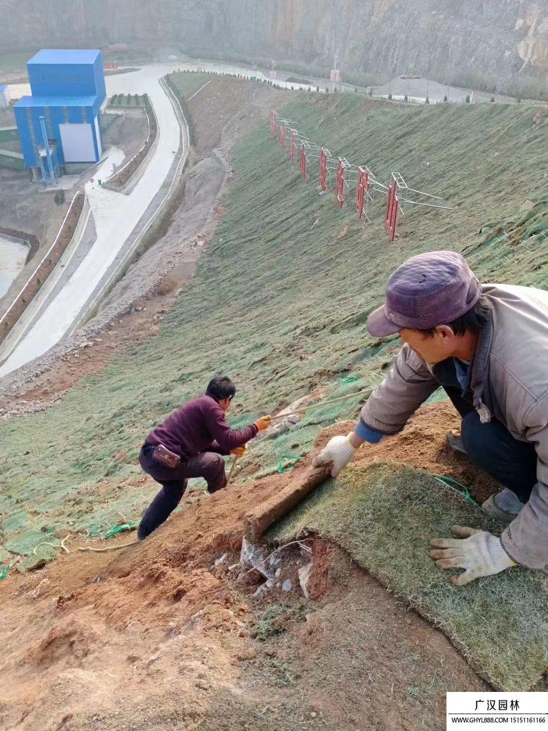 礦山河道護坡綠化