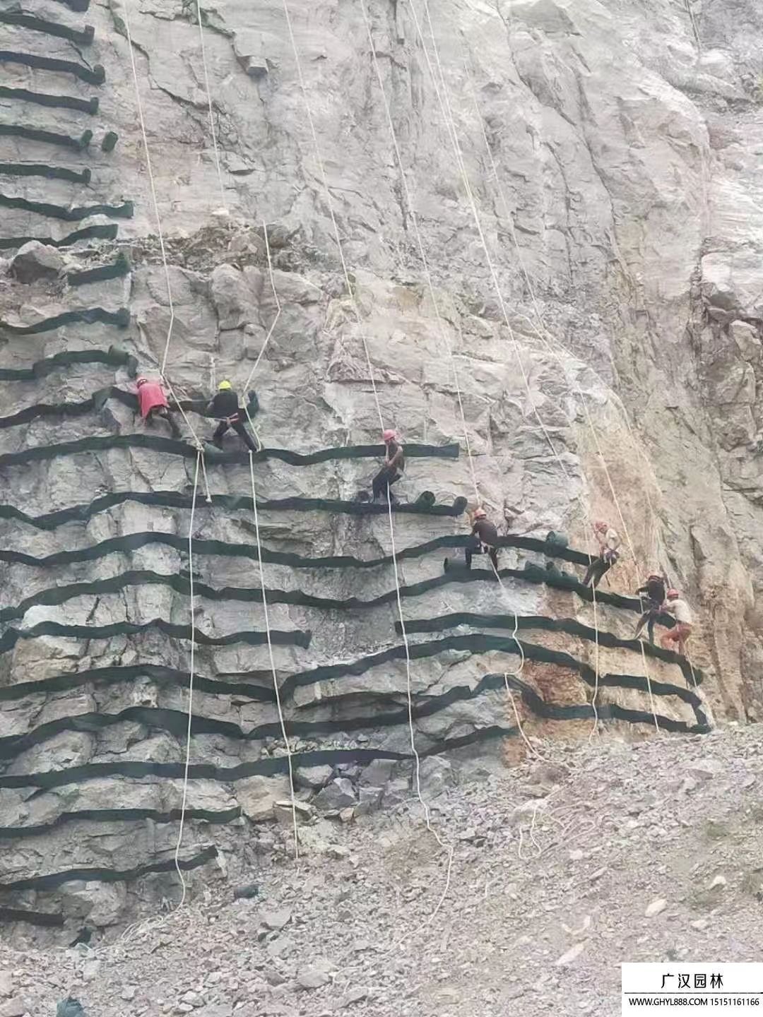 礦山河道護坡綠化規范