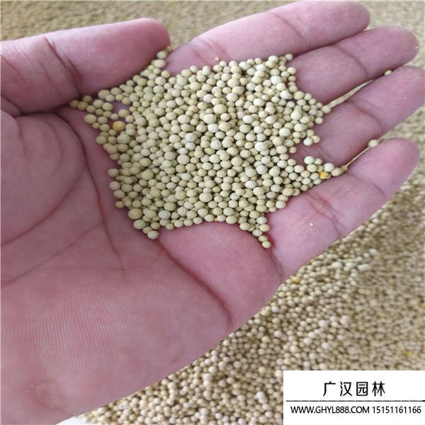 白三葉